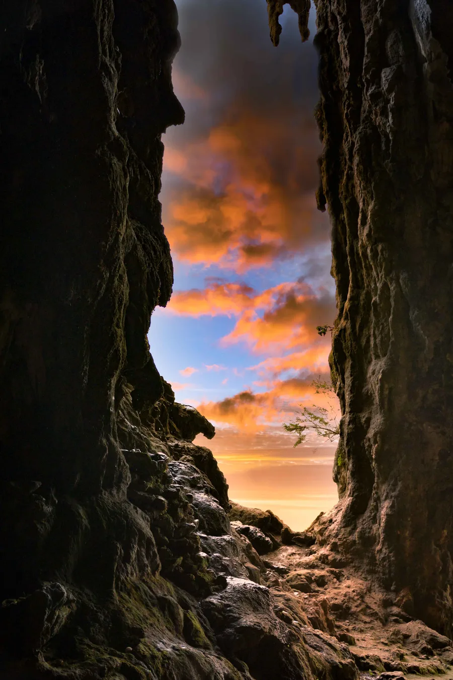 Hoq Cave, Socotra Island